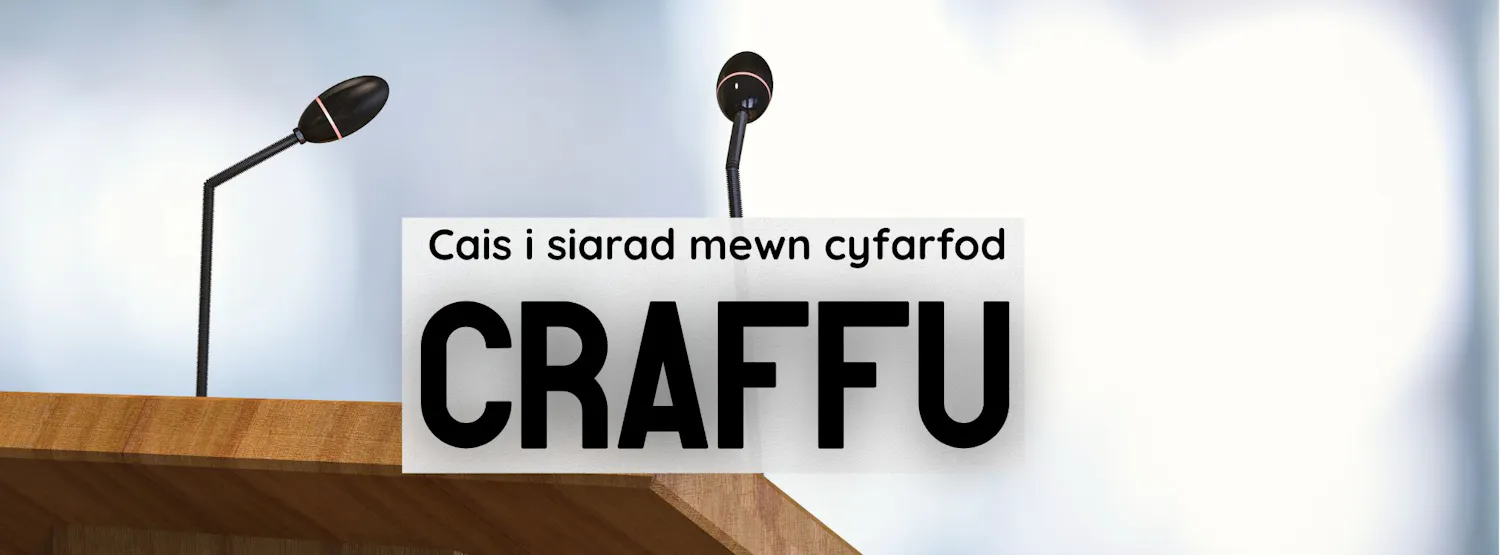 Baner y prosiect
