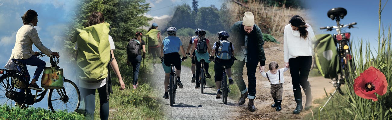 cyclists and walkers on a sunny day