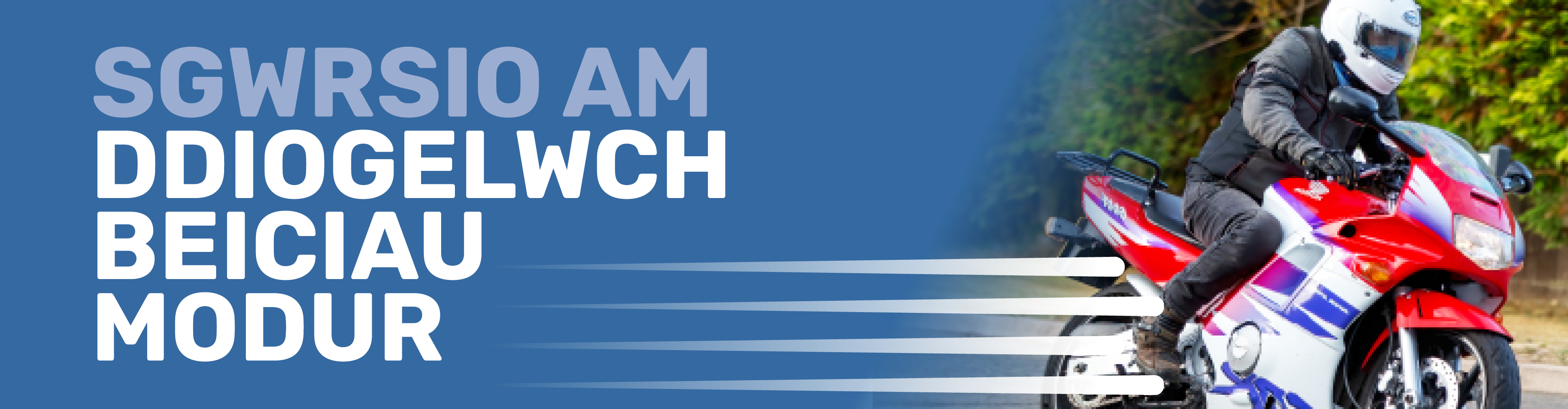Baner y prosiect