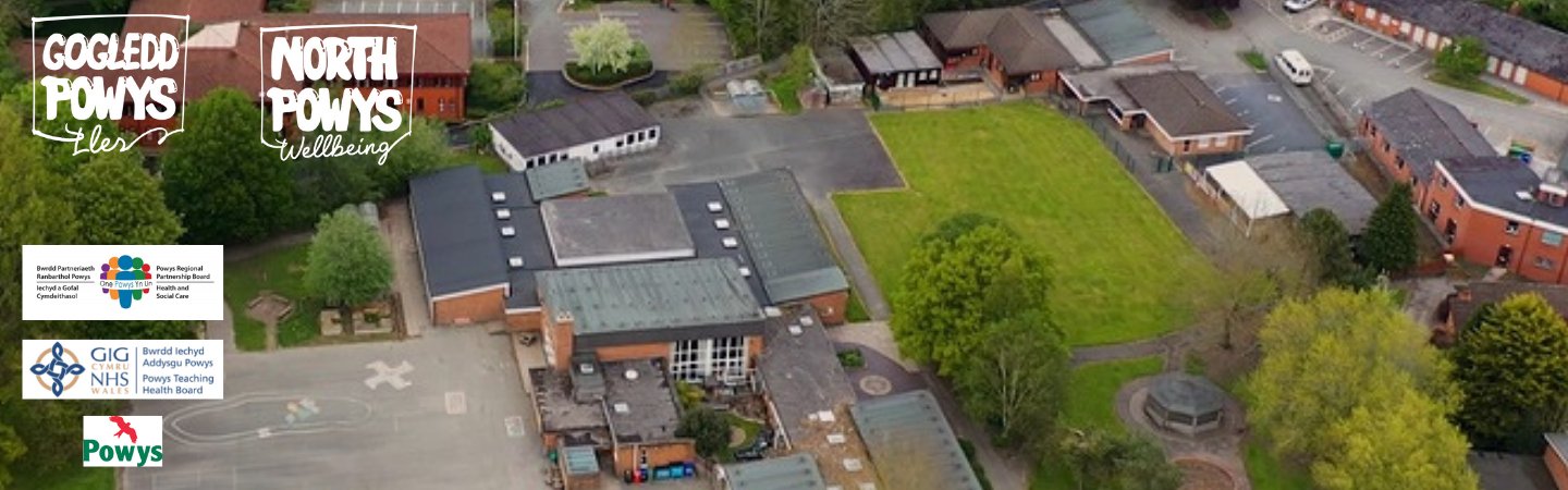 Aerial view of part of the proposed site for the new multi-agency Wellbeing campus.