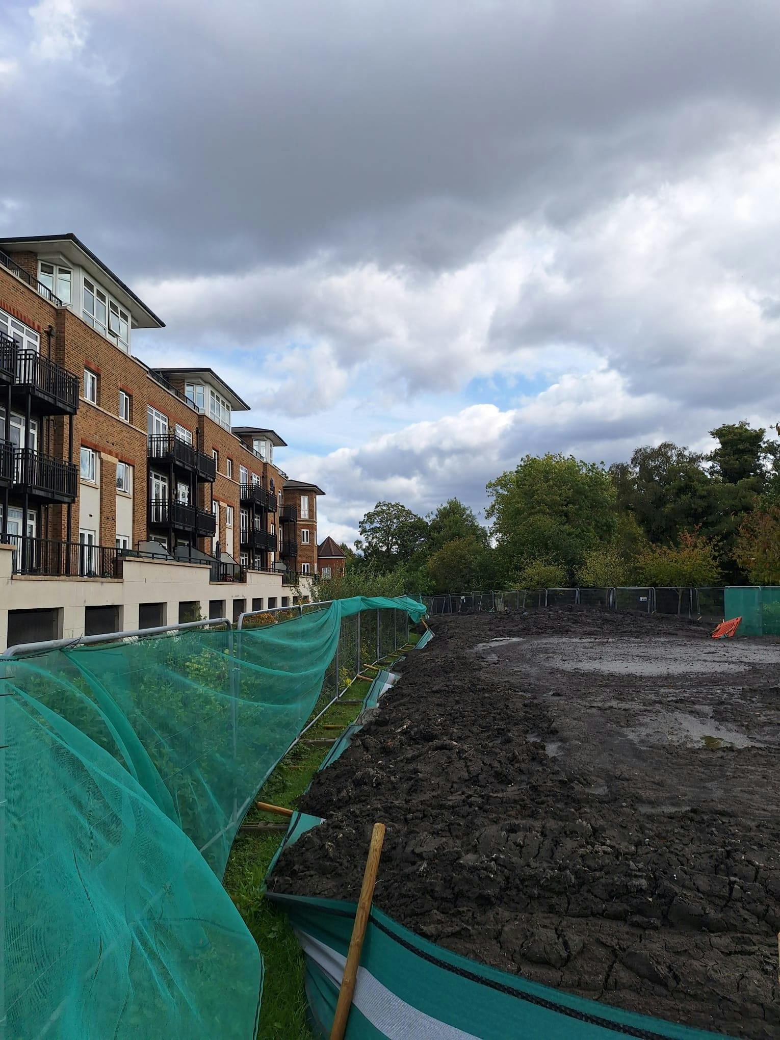 Temple Pond silt dewatering areas
