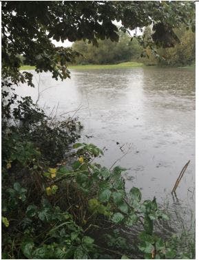 Oct 2019 flooding - Pinn Meadows.JPG