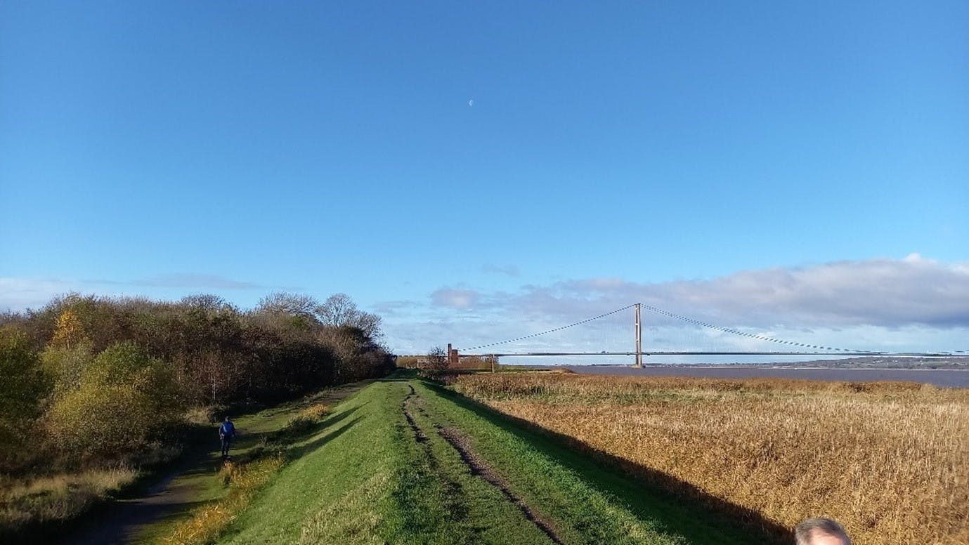 Photo of a person walking along a grassy path bordered by trees and tall grass, with a large suspension bridge visible in the background under a clear blue sky.