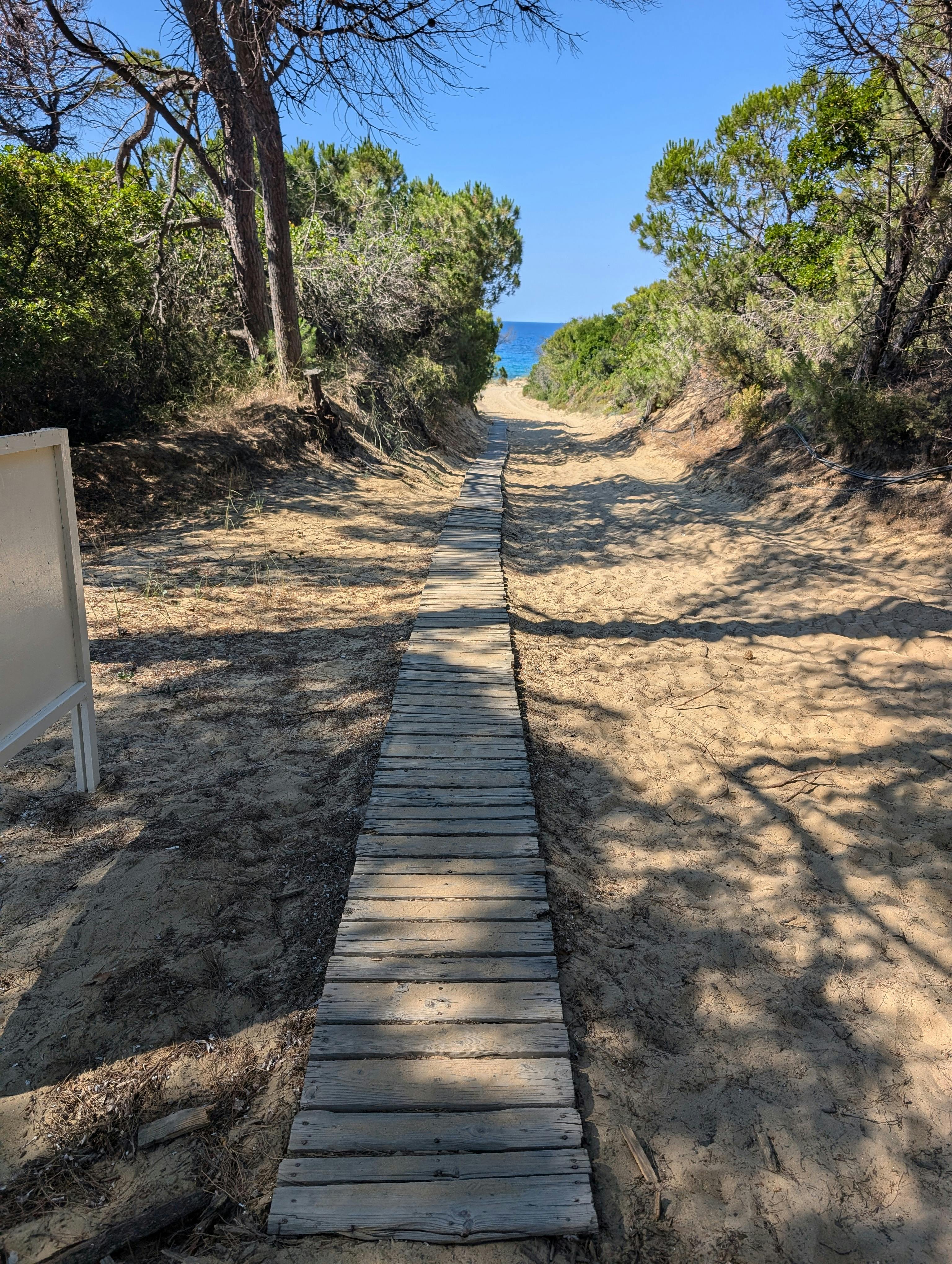 Wooden walkway in Europe.jpg.jpg