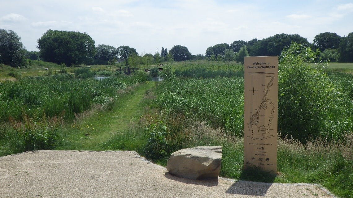 Firs Farm wetlands and playing fields.jpg