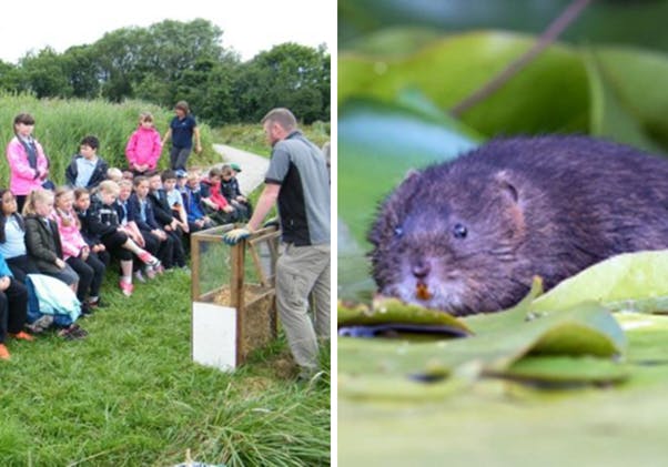 Country park wildlife groups