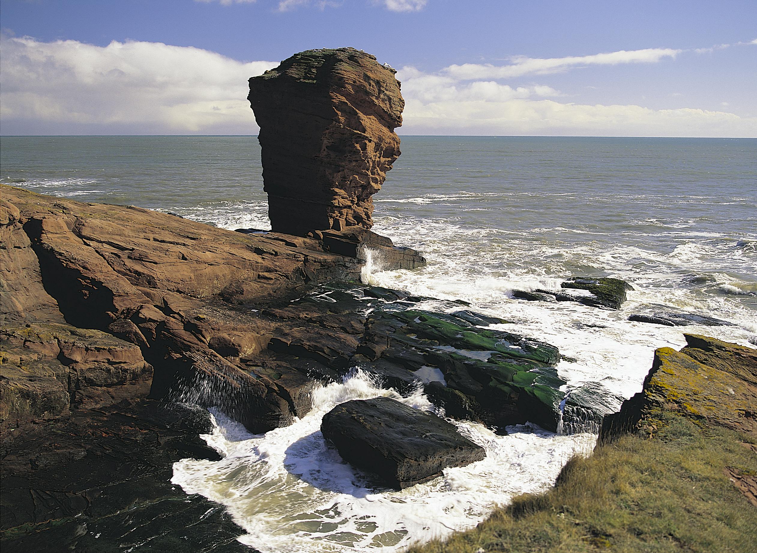 Deils Head Arbroath Cliffs.jpg