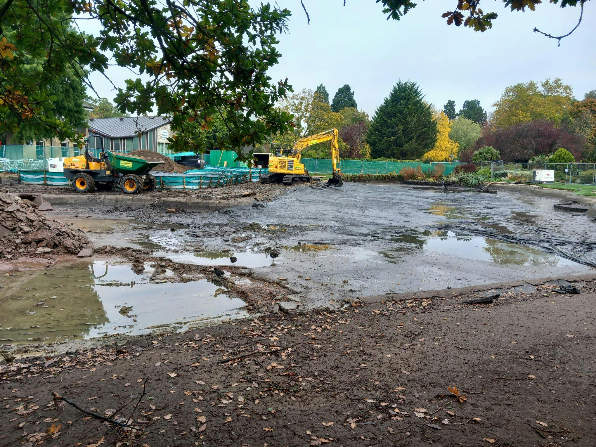 Pond Works Progress 221025_13.jpg