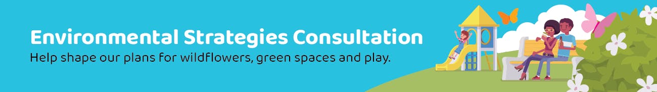 Environmental Strategies Consultation - Help shape our plans for wildflowers, green spaces and play