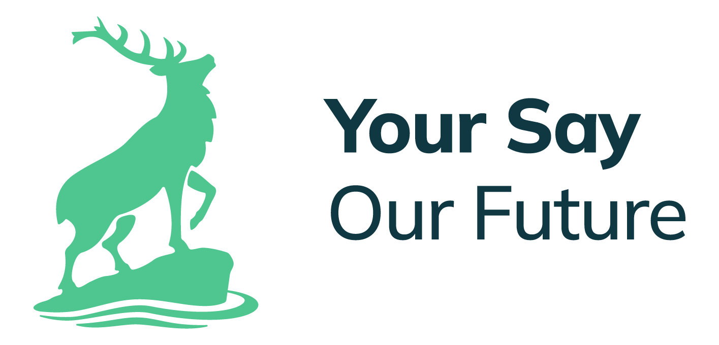 Your Say Our Future