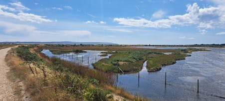 Normandy Lagoon July 2022 (Source: Environment Agency)