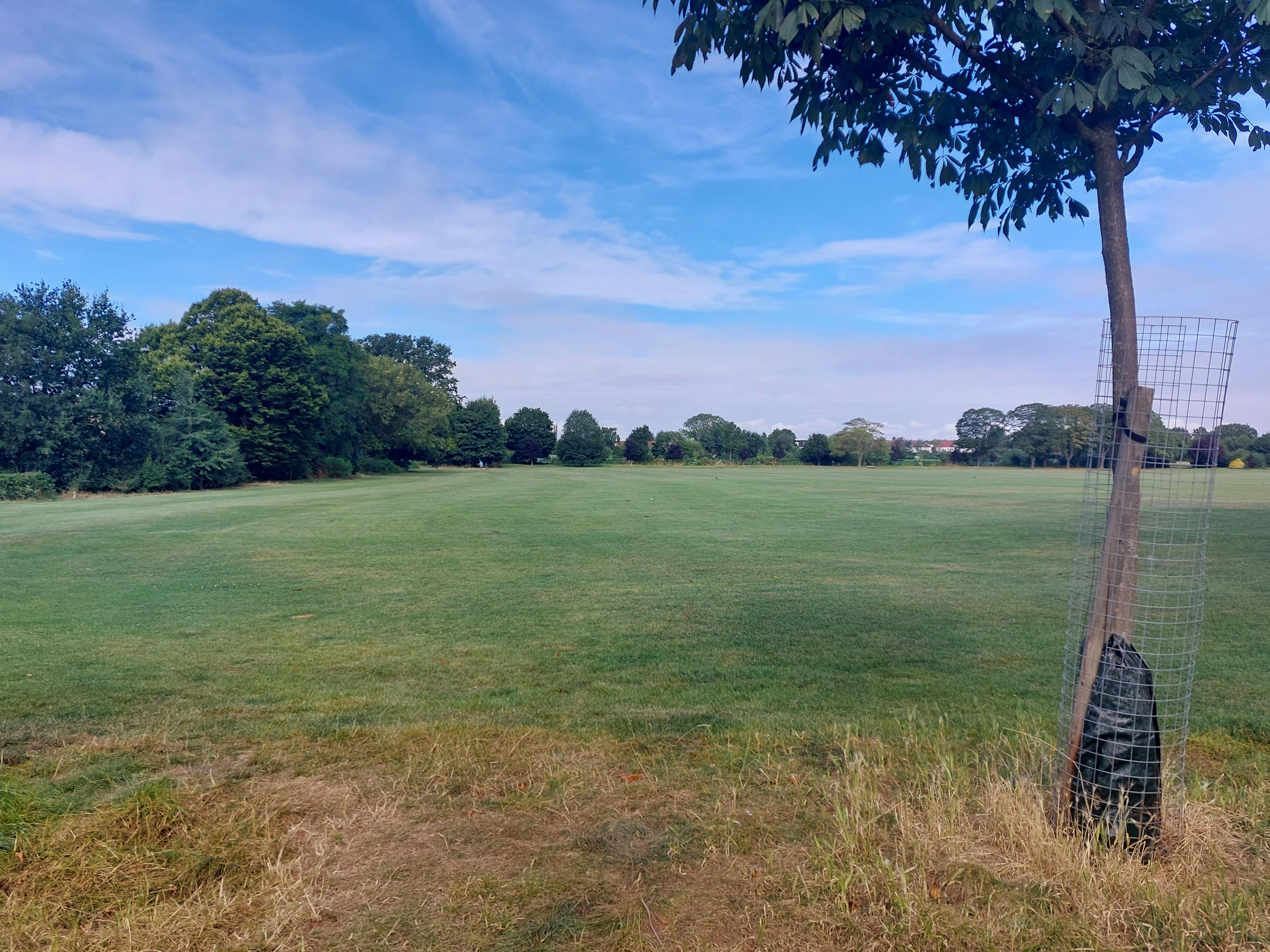 Enfield Playing Fields Southern Corner - Existing 2