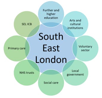 Anchor insitutions - image.png