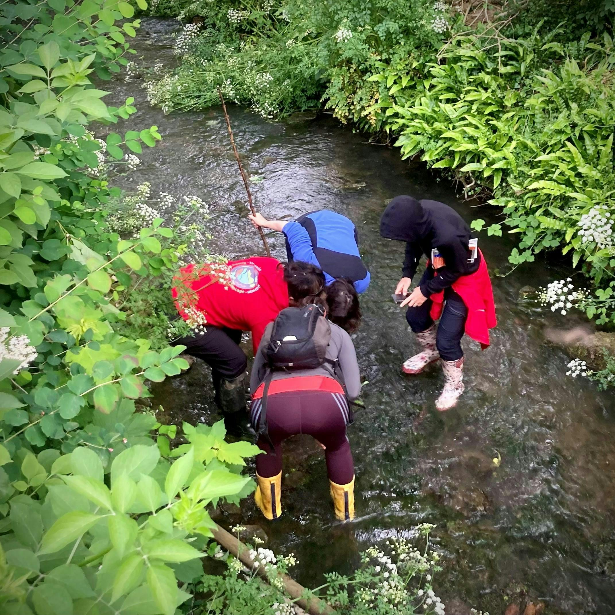5a9496acc0ddf56703cbafe294ccd807_otter volunteers in river.jpg