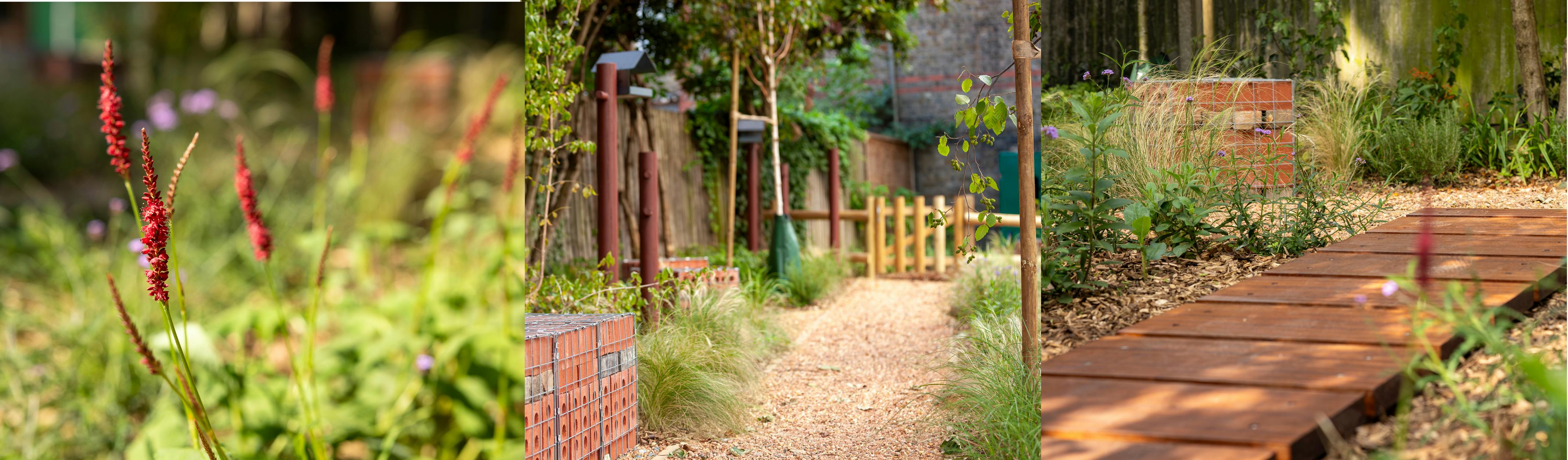 Photographs of the new garden 