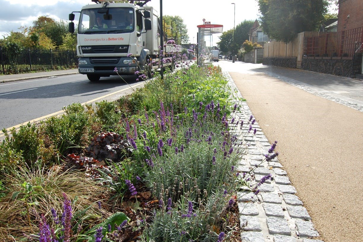 Raingardens Fernleigh Road.jpg