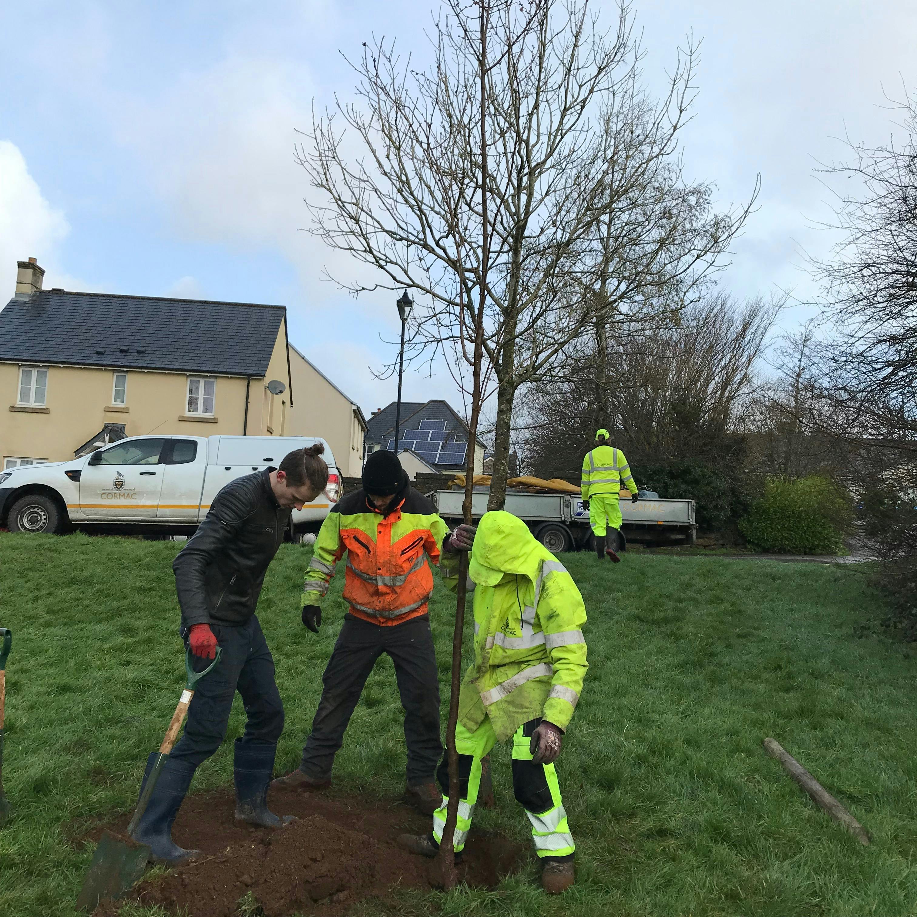 Volunteers planting trees in Callington - February 2020