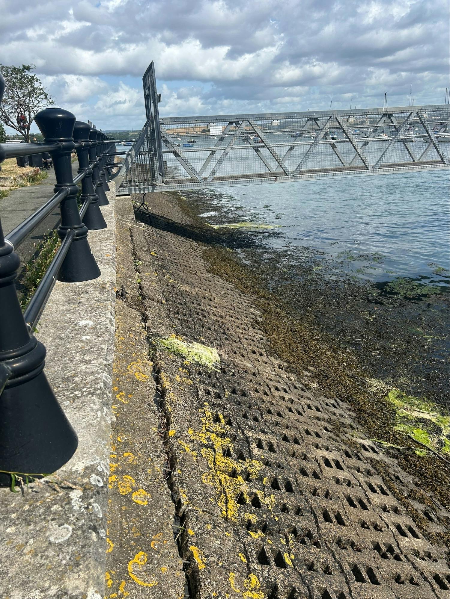 Existing Revetment Damage (5).jpeg