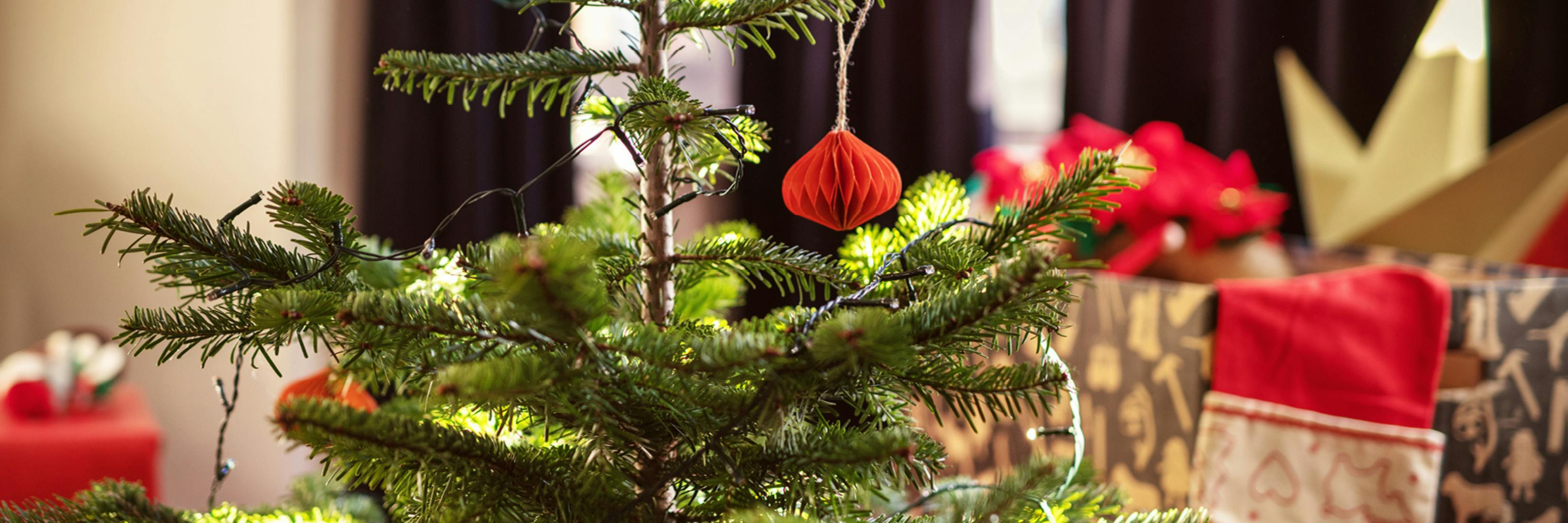 Image shows Christmas tree with decorations in the background.