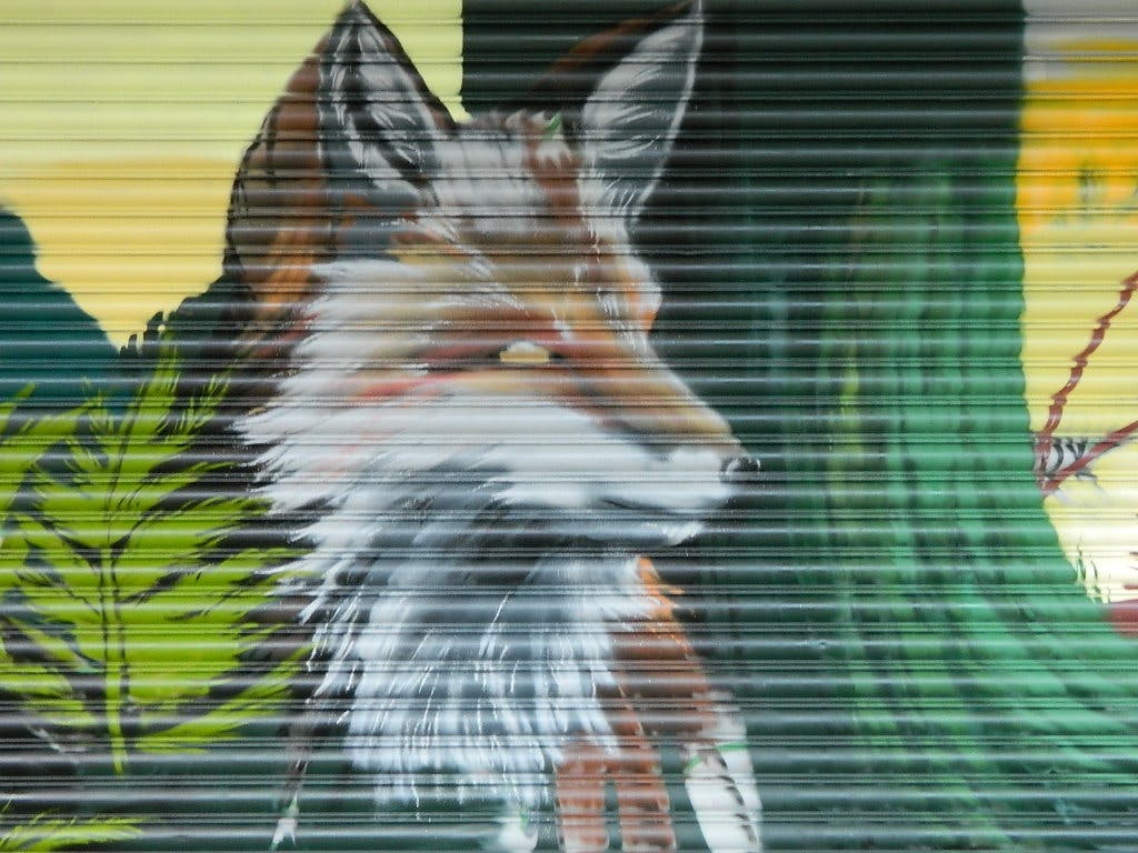 536284516_1204143331748439_6966087989891217322_n.jpg