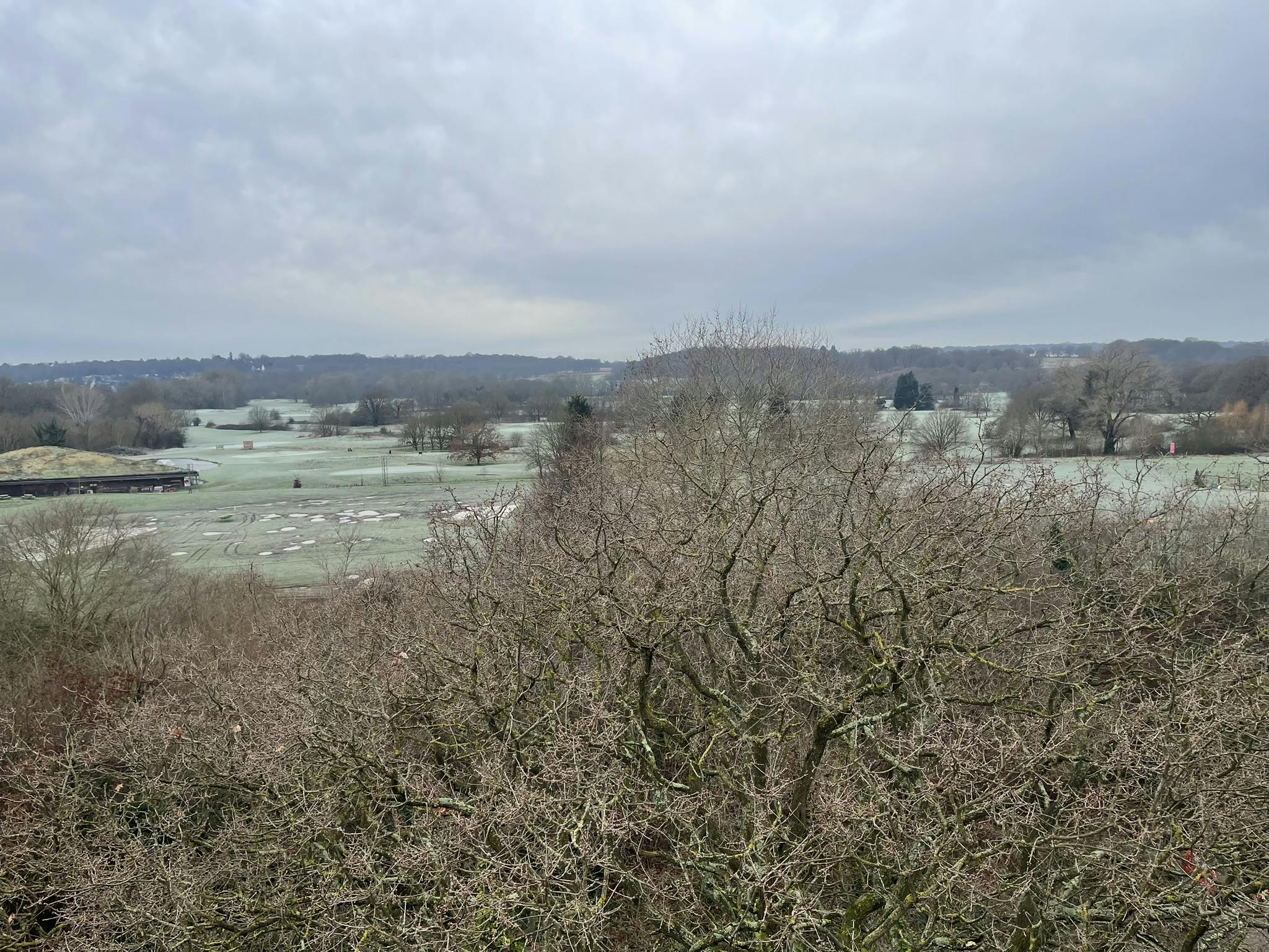 View of Richmond Park