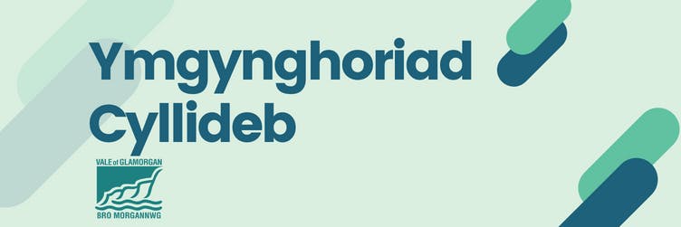 ymgynghoriad cyllideb baner gyda logo