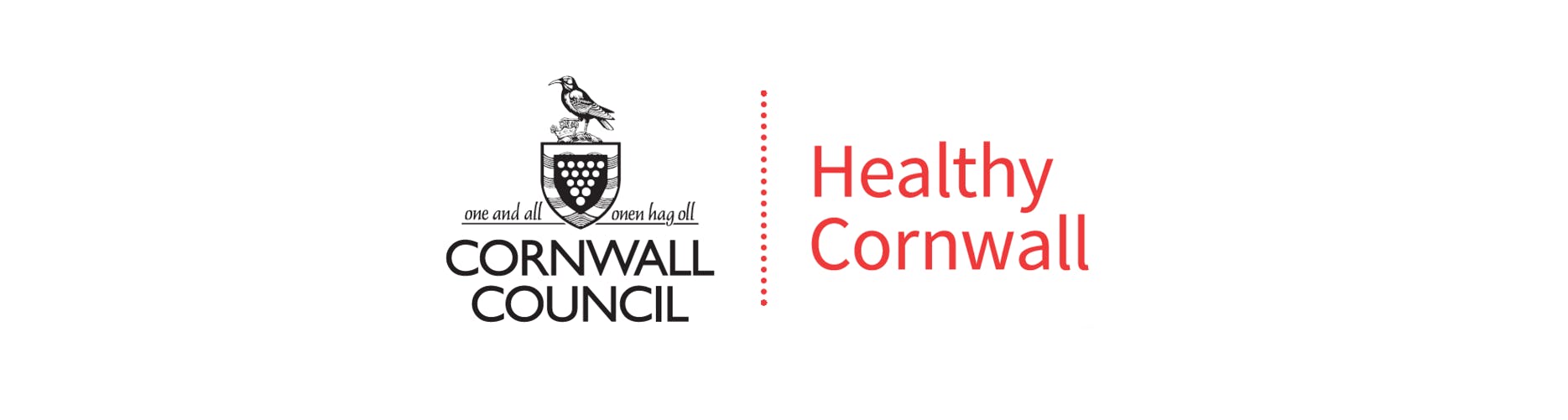 Healthy Cornwall banner