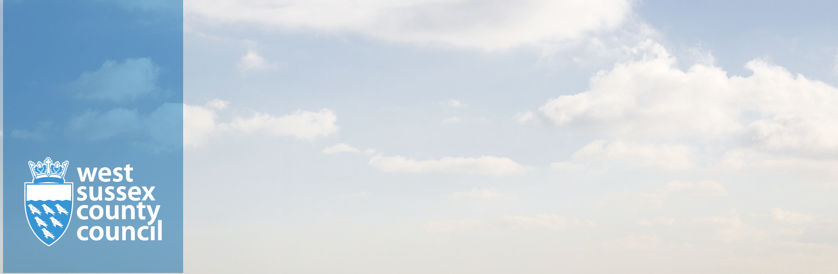project banner