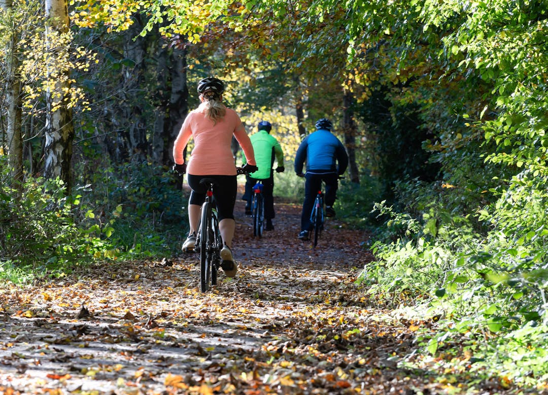 Image shows three people cycling on a woodland path in Aberdeenshire.  