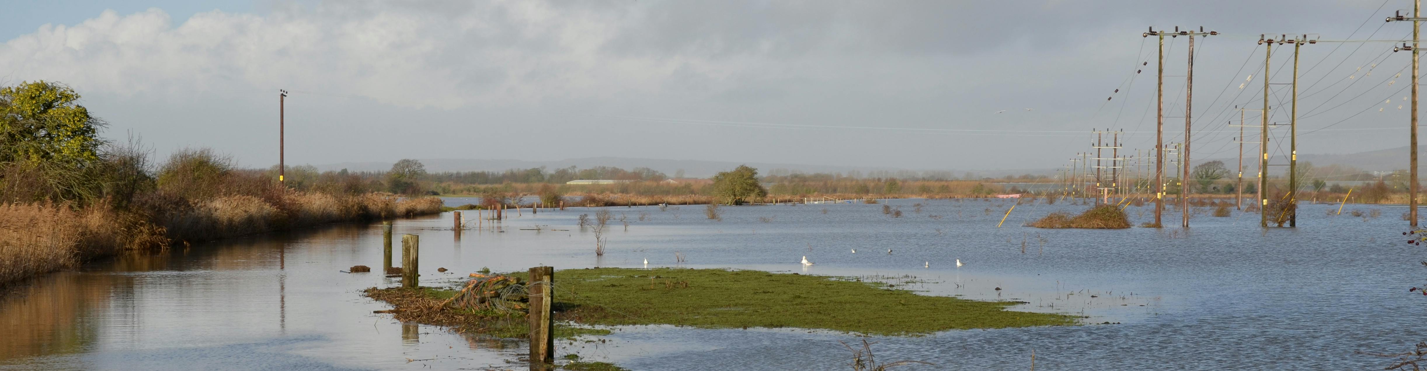 Image of flooding fields in Northern Bognor