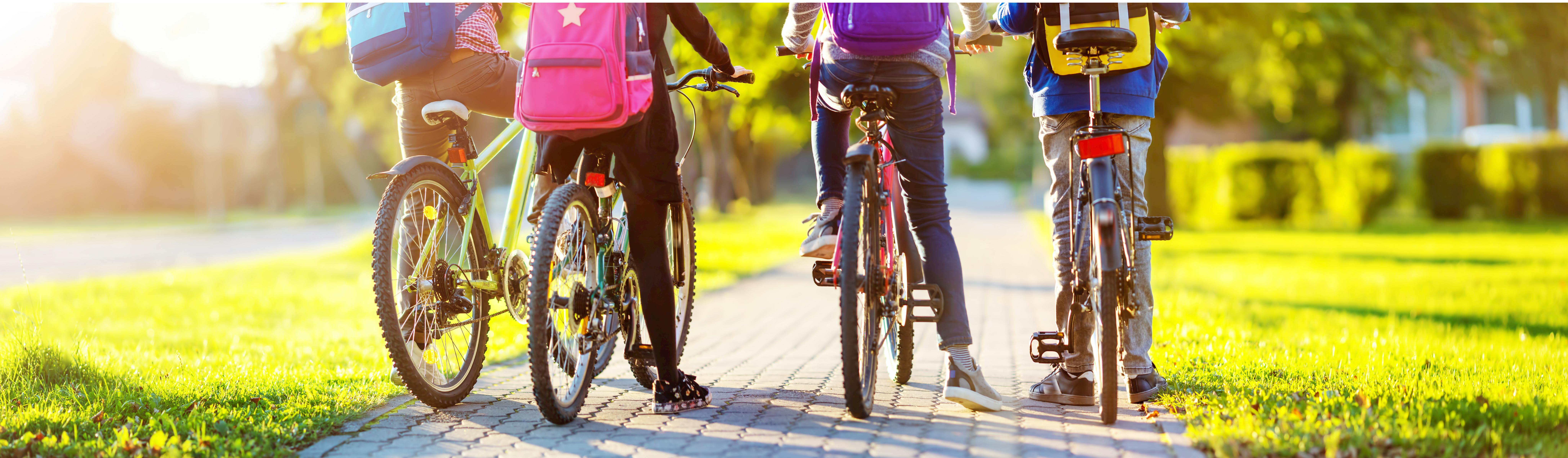 Image of four children on bikes riding along a sunny path.