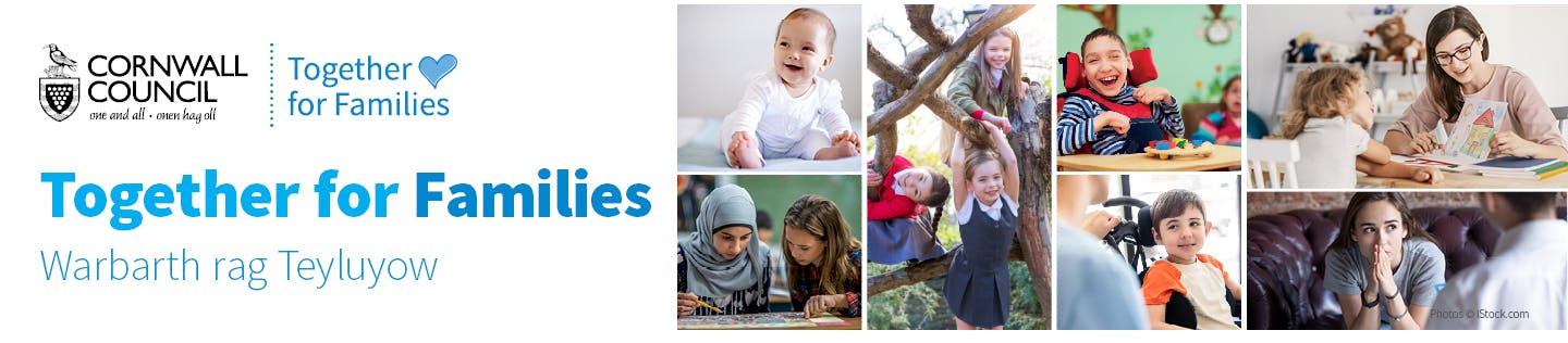 Together for Families banner image
