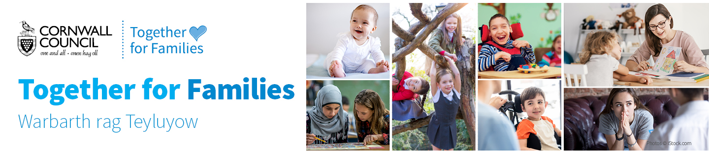 Together for Families banner image