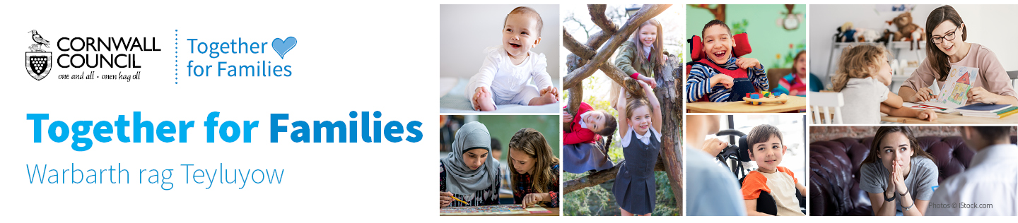 Together for Families banner image