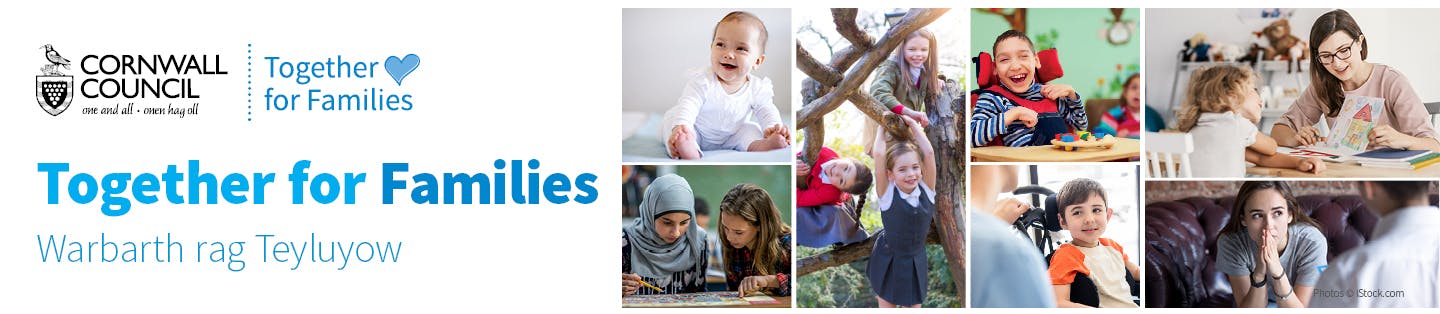 Together for Families banner image