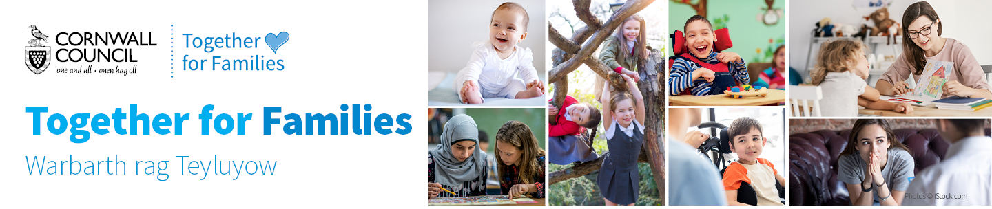 Together for Families banner image