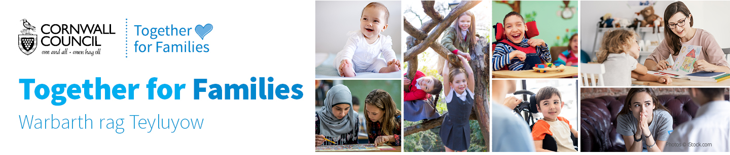 Together for Families banner image