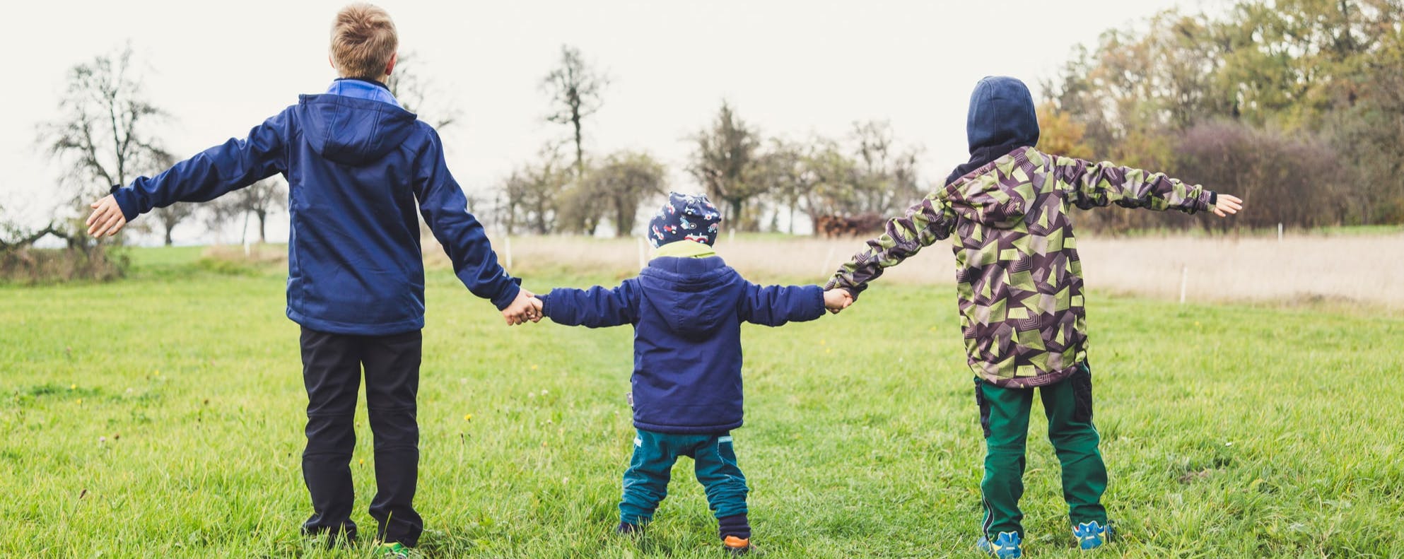 Three young boys holding hands in a field facing away from the camera