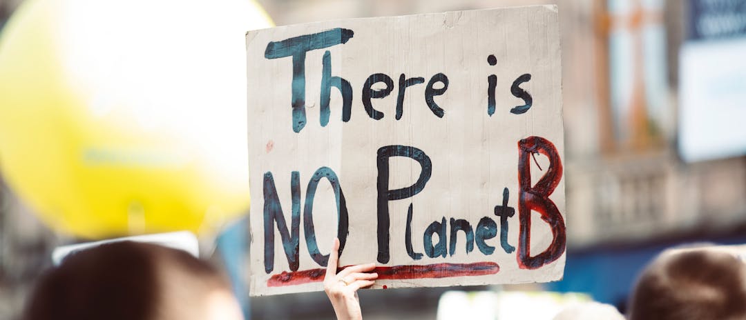 Climate protest showing sign saying "there is no planet b"