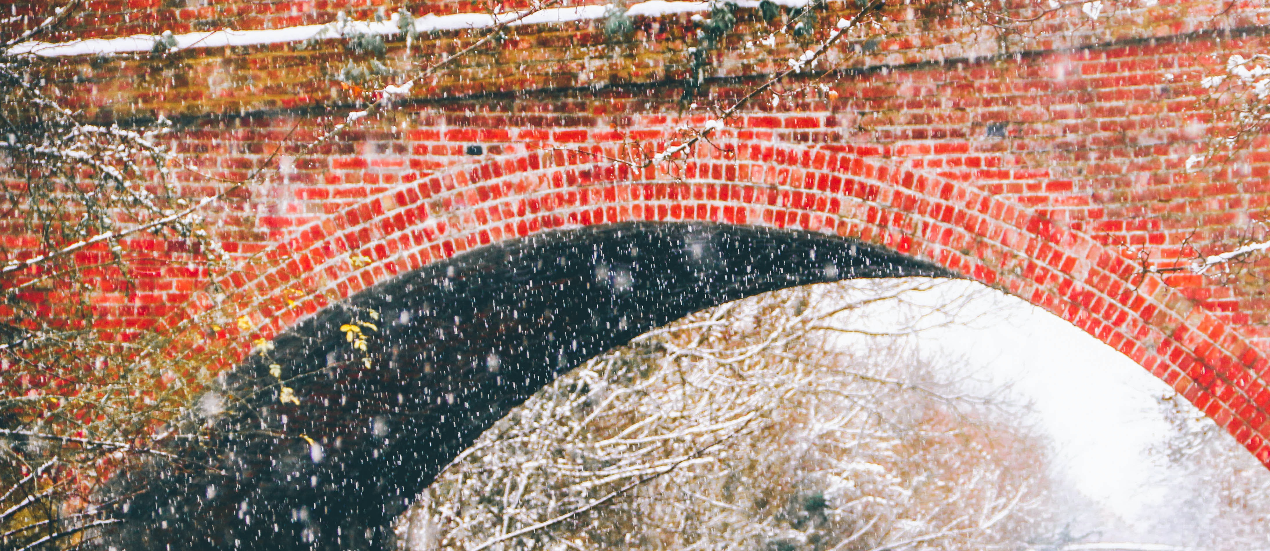 Photo of various traffic signs.