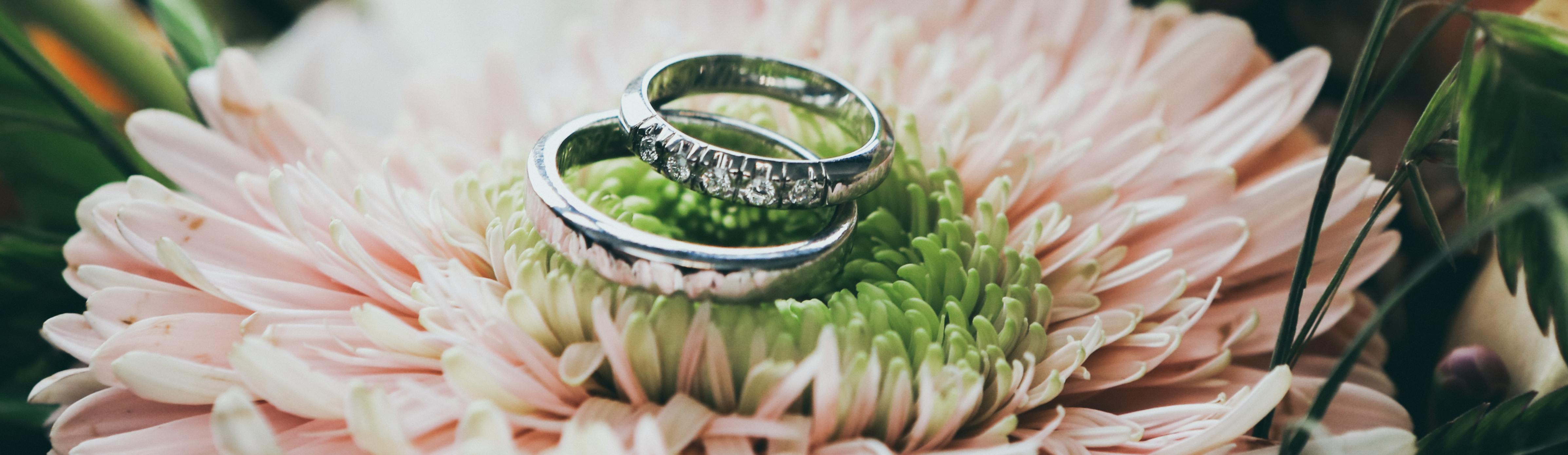 Wedding rings on top of a flower