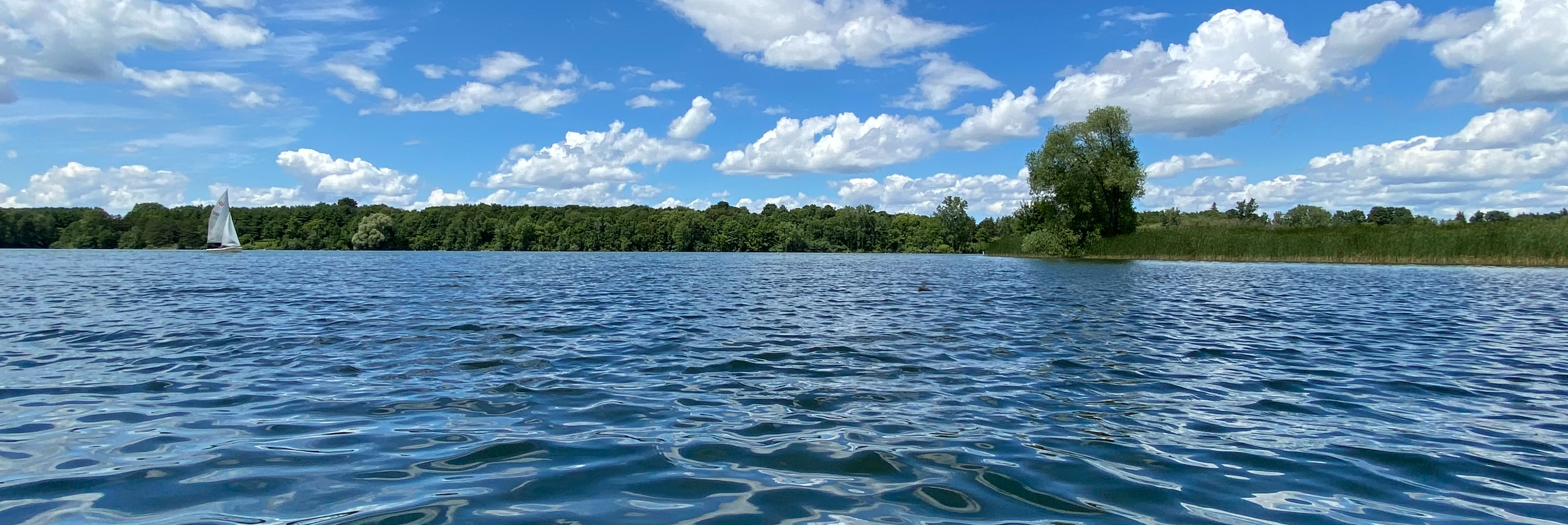 Open water looking inland at trees