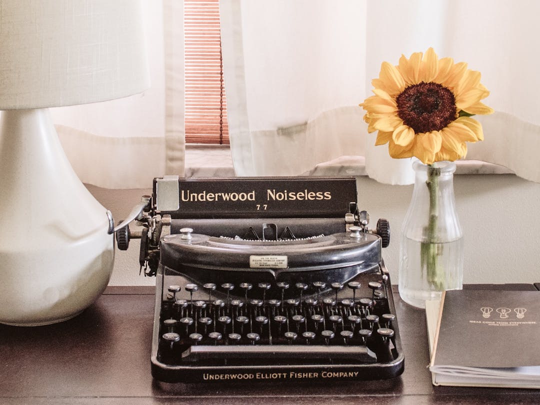 typewriter on table and a potted flower