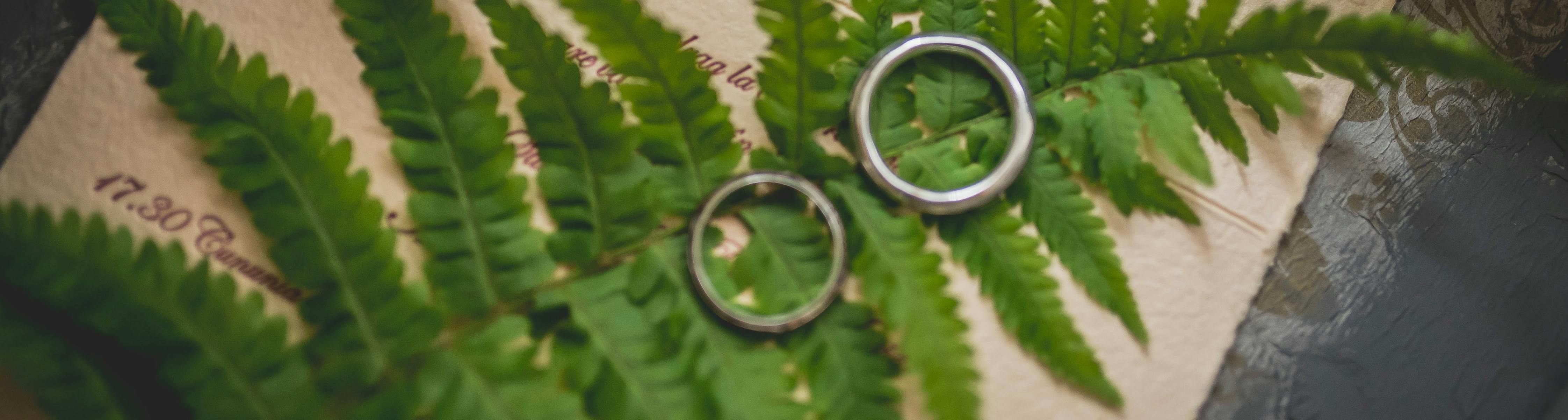 Wedding rings on a fern leaf