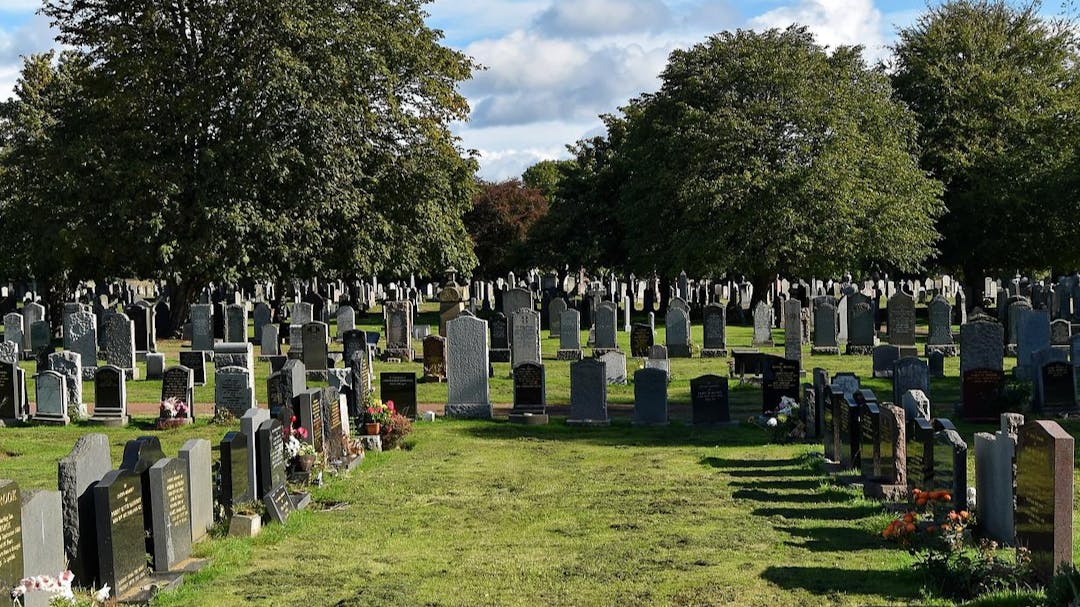 An image of a graveyard with trees in the background.