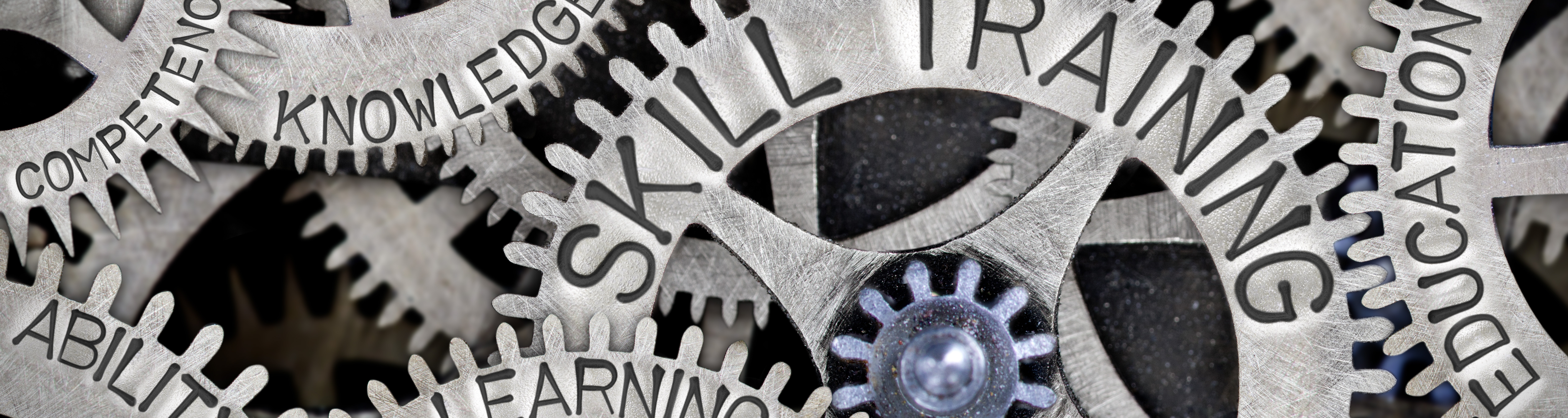 cogs with words - skill, training, learning, education, knowledge, competence, ability