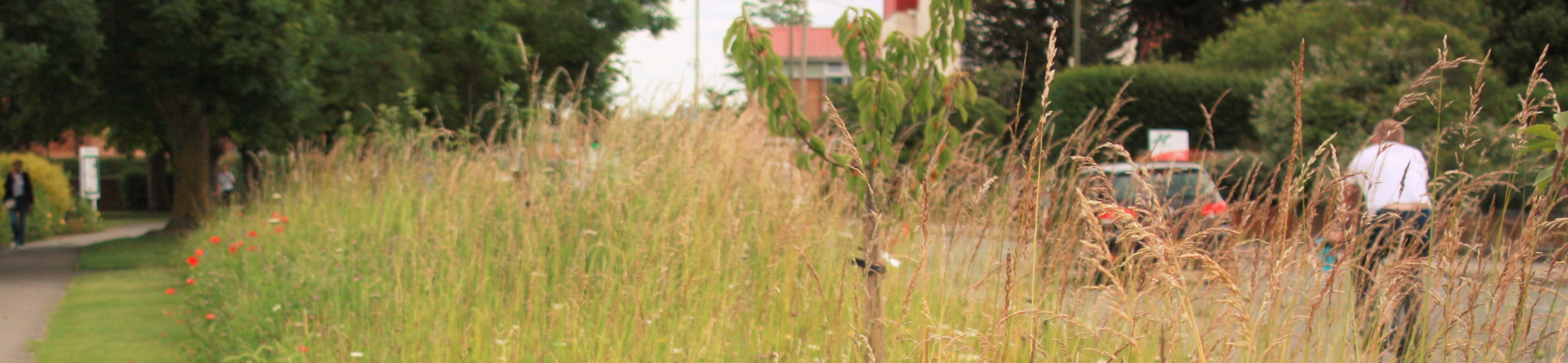 Car approaching Trenchard Avenue junction on the A4130