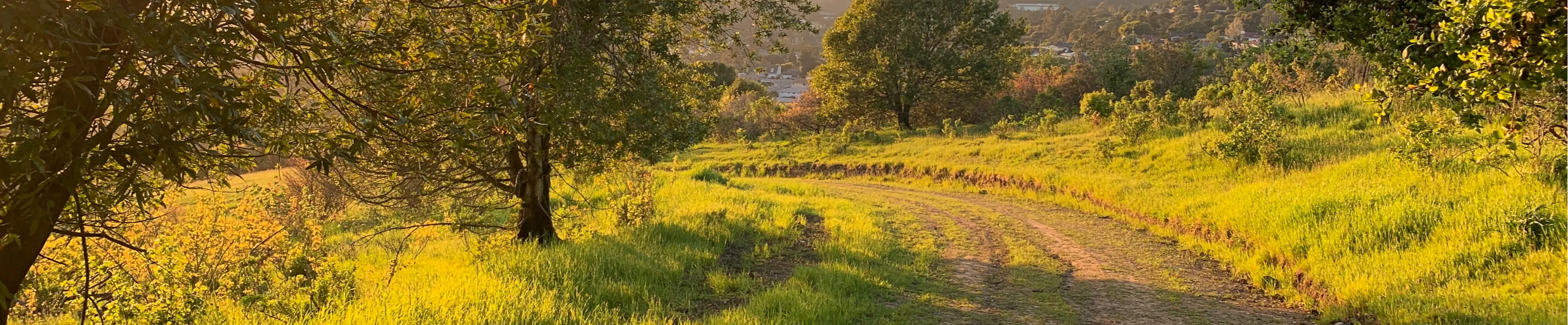 Field track