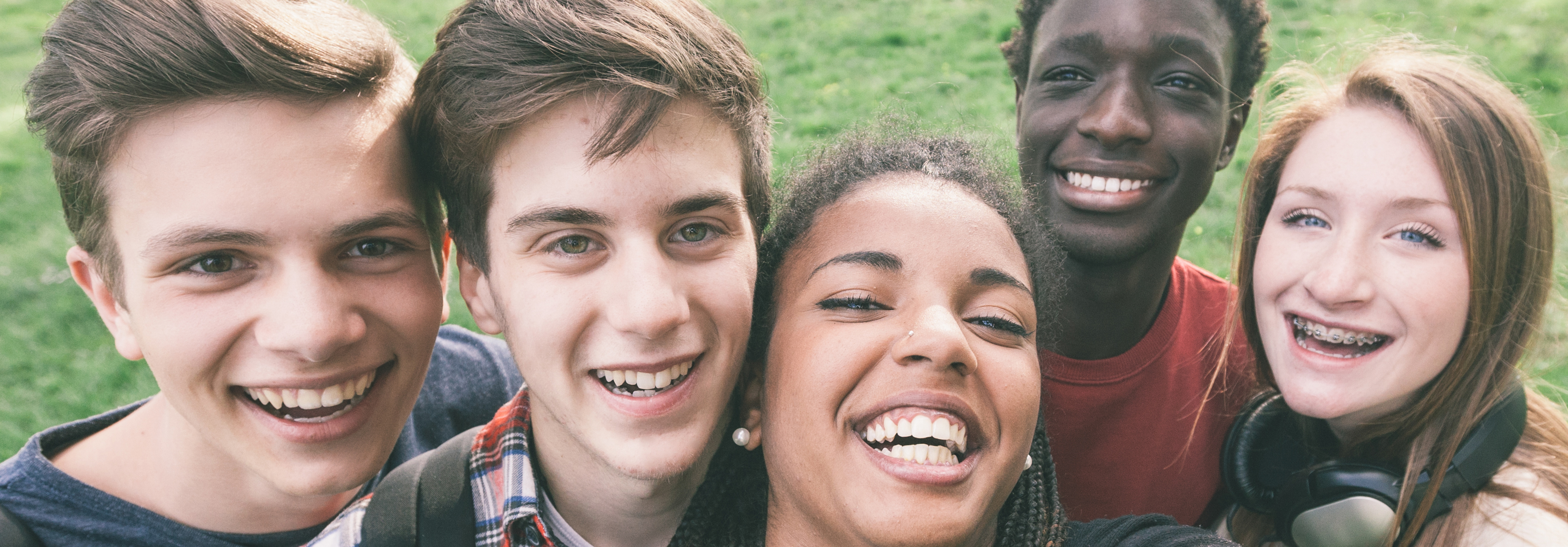 Colourful wild flowers