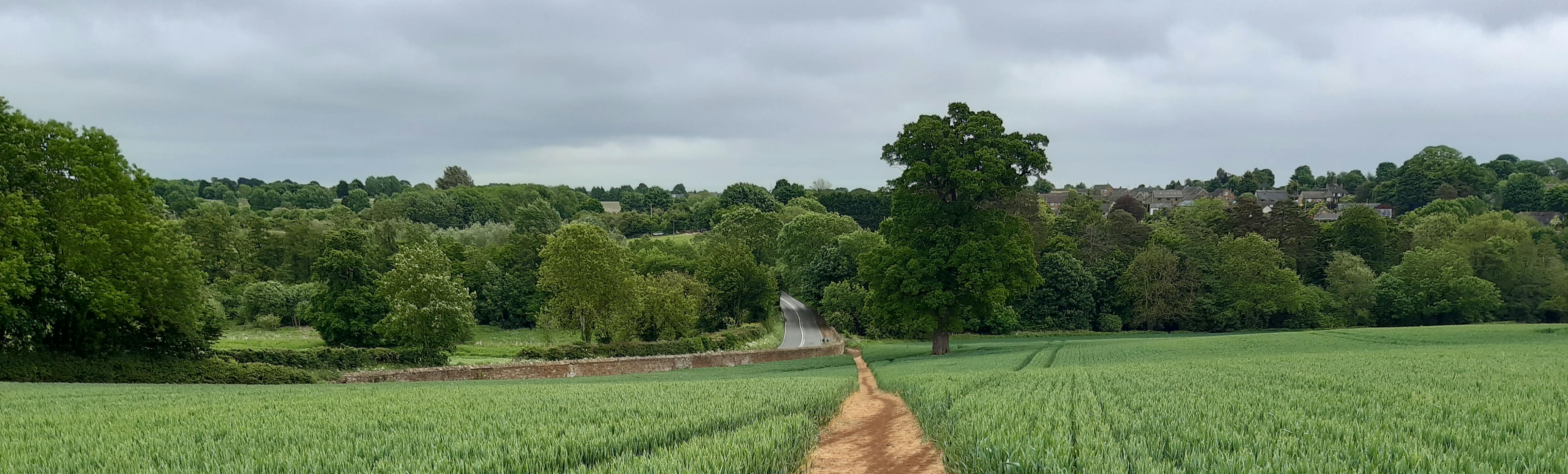 Path through field